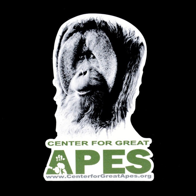 Center for Great Apes Die-Cut Sticker