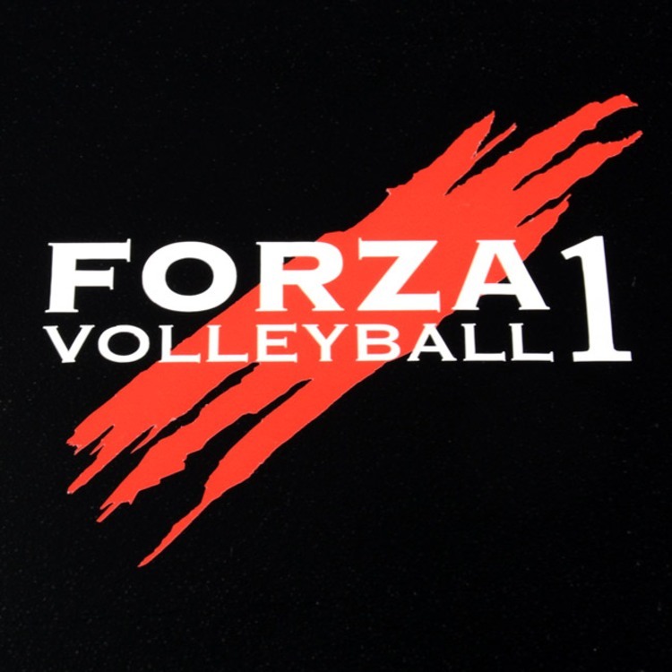 Forza Volleyball Multi-Color Cut-Out Stickers