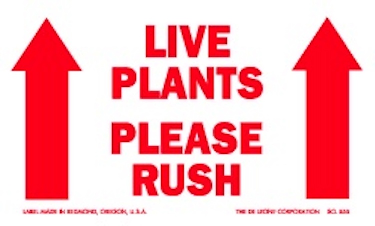 Live Plants Please Rush Labels Red & White Label Size: 3" x 5"  QTY: 1000 