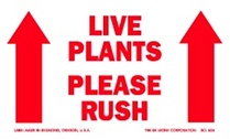 Live Plants Please Rush Labels 3" x 5"