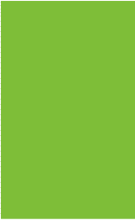 Fluorescent Green Rectangle Labels Label Size: 2" x 2.35" QTY: 1000 