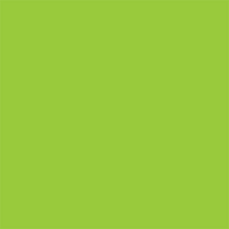 Fluorescent Green Square Labels 4" x 4"