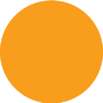 Fluorescent Orange Circle Labels 1" Diameter