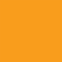 Fluorescent Orange Square Labels 4" x 4"