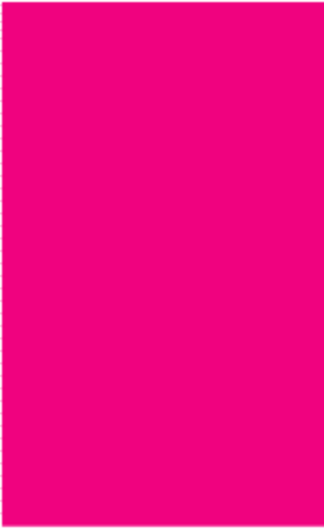 Fluorescent Pink Rectangle Labels Label Size: 2" x 3.25" QTY: 1000 