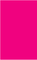 Fluorescent Pink Rectangle Labels 2" x 3.25"