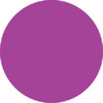 Purple Circle Labels 1" Diameter